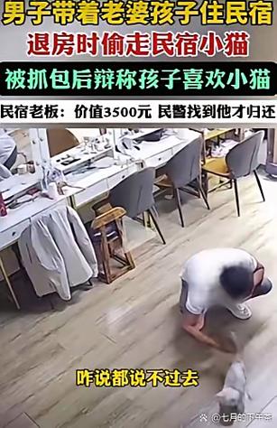 偷猫的人都是怎么处理