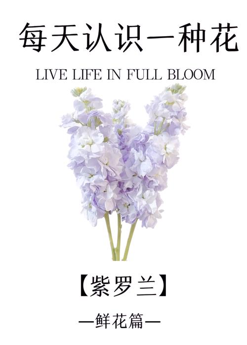 魔兽世界紫罗兰之塔在哪