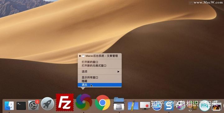 苹果手机的程序坞是什么