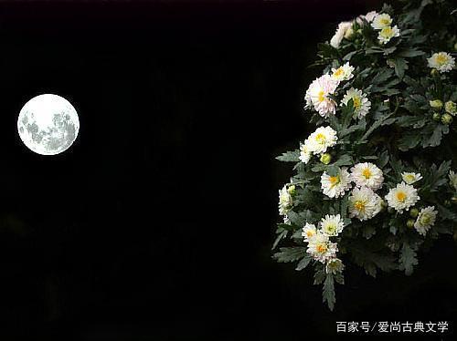 牵月
