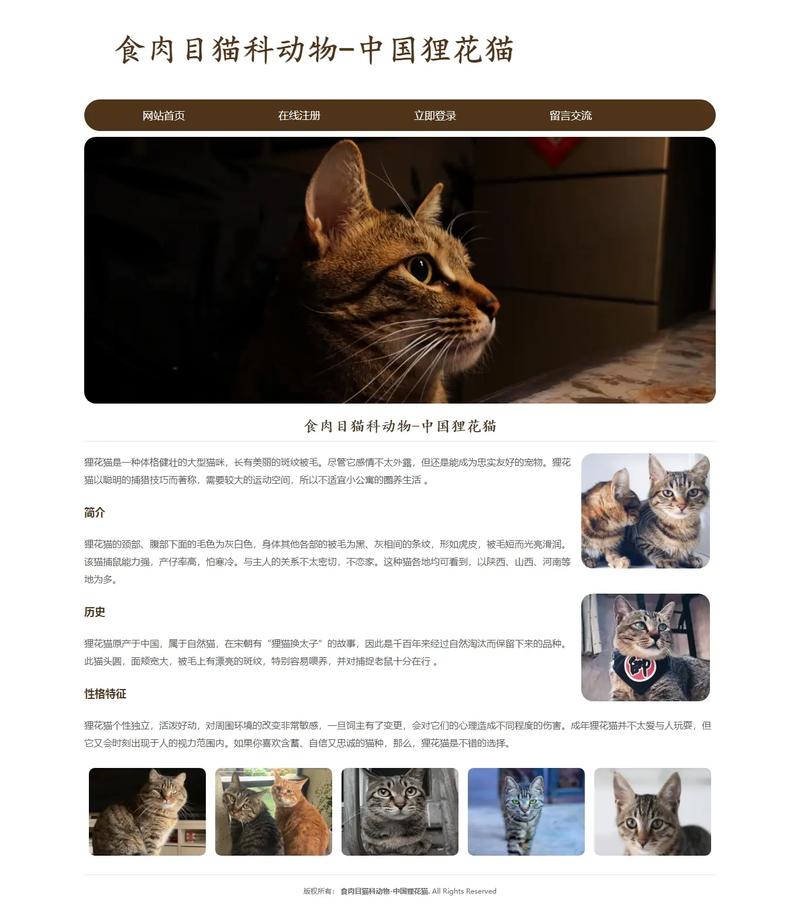 随喵聊天网页版