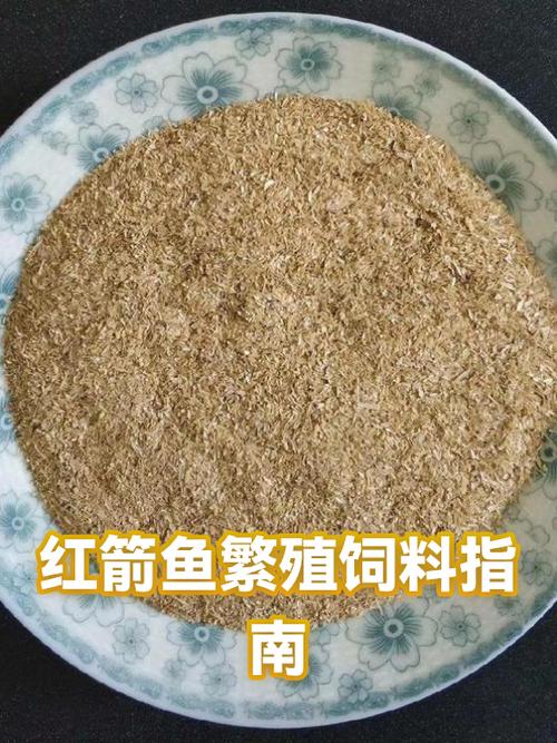 红箭鱼多久繁殖一次