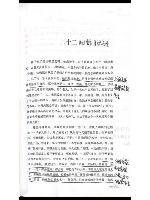 骆驼祥子原书全文缩略图