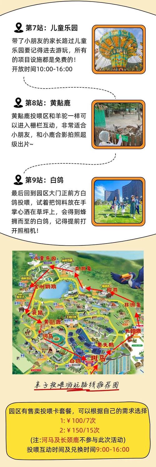 龙之牧场翅膀在哪拿
