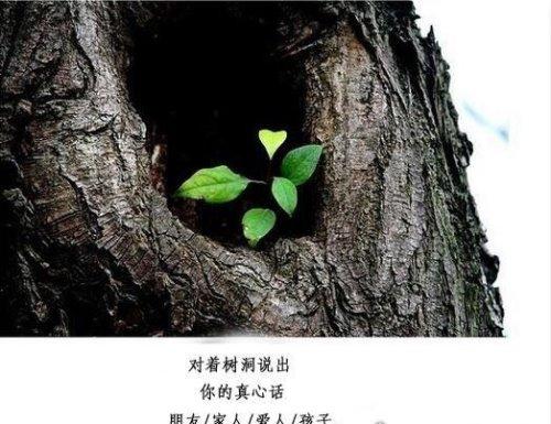 女生说树洞是什么含义