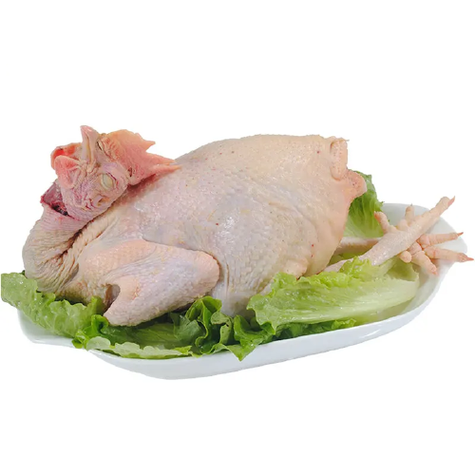 三黄鸡照片