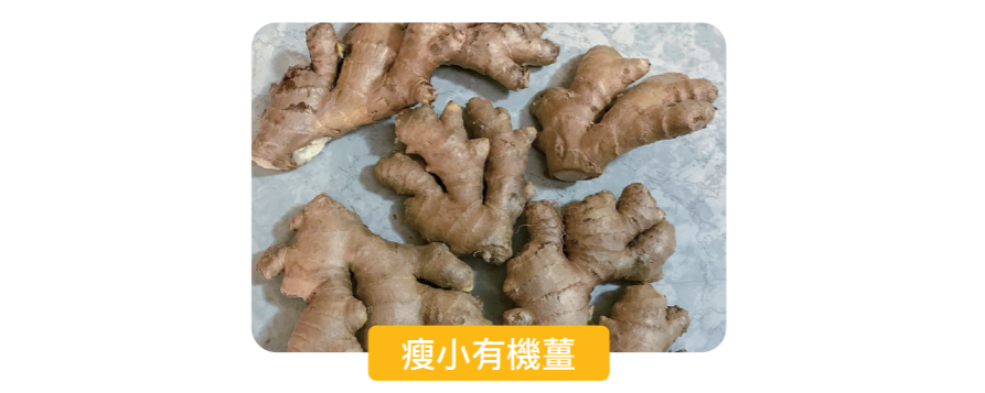 原始点大量喝姜后果