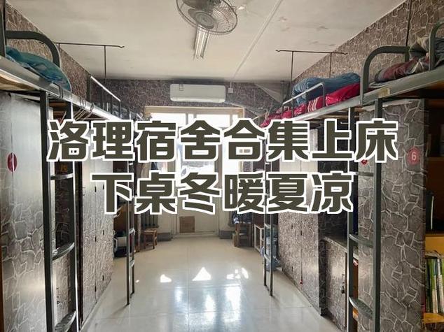 智慧洛理