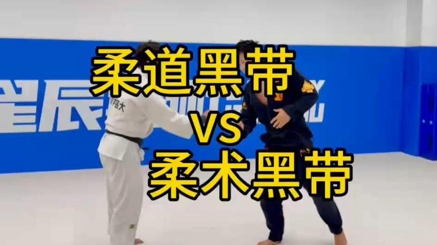 柔道黑带是什么级别