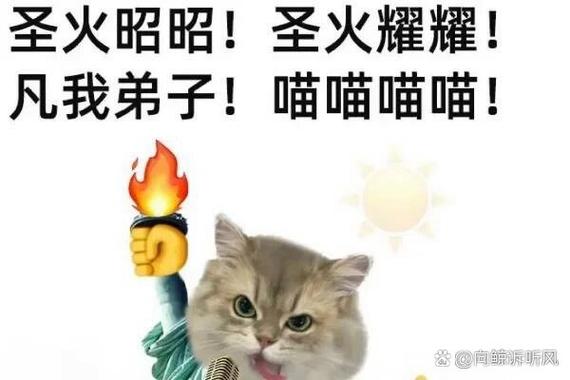 圣火喵喵教梗的出处