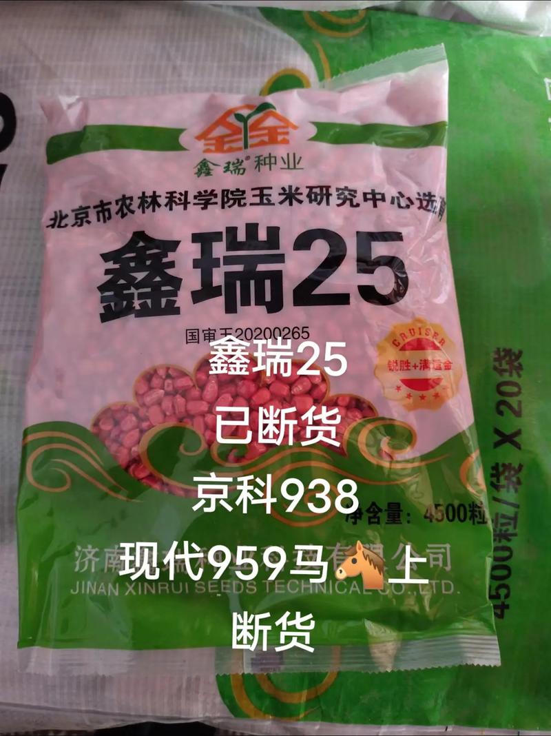 小鑫25.0直装