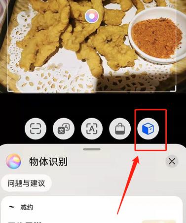 拍照识物在线识别缩略图