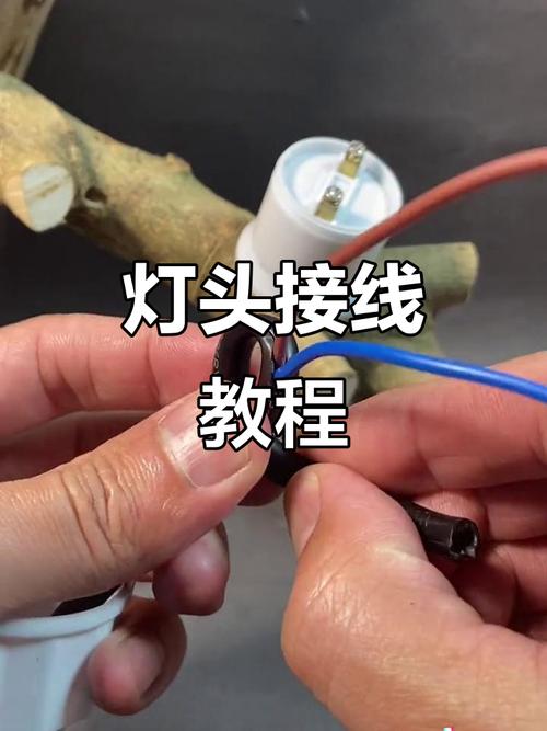 普通的灯头线怎么接