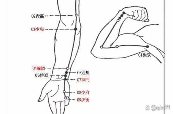手少阴心经的起始点