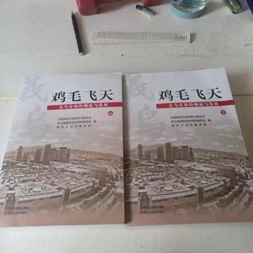 鸡毛飞上天没睡成第几集