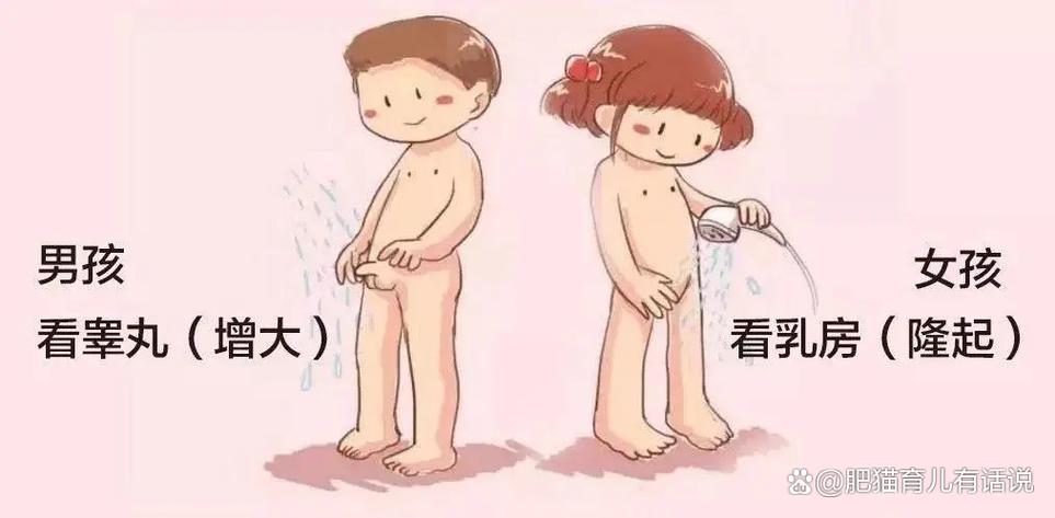 男生女生青春期
