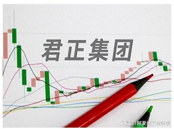 股票君正集团图标