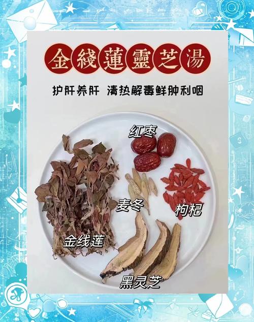 金线莲怎么泡水