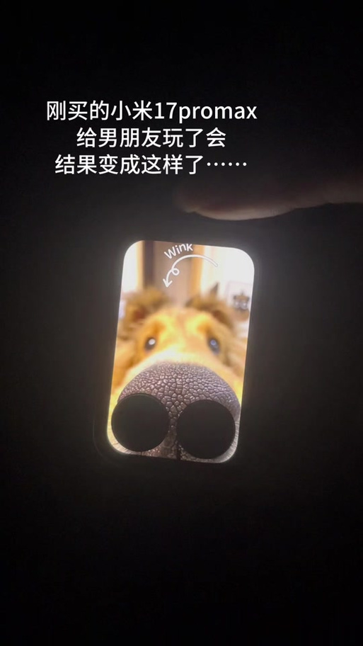 小米17背屏壁纸删不掉