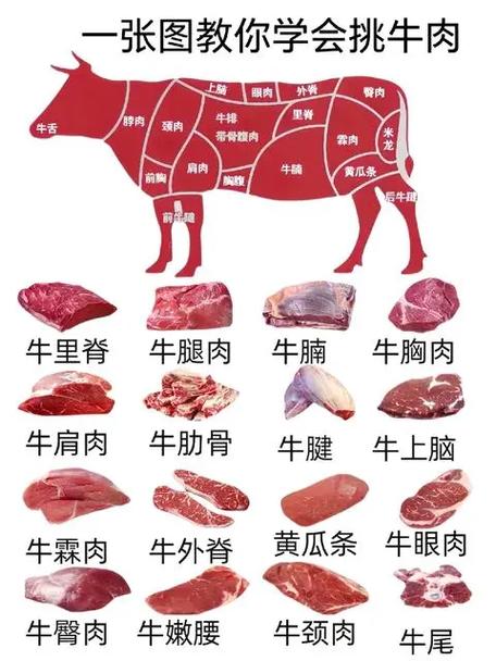 牛图解
