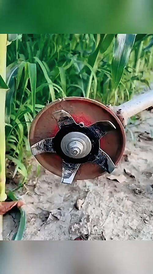 地里长草了用什么方法能除掉