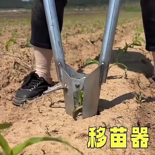 移苗神器最新款