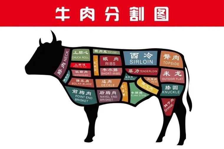 买牛肉一般买什么部位