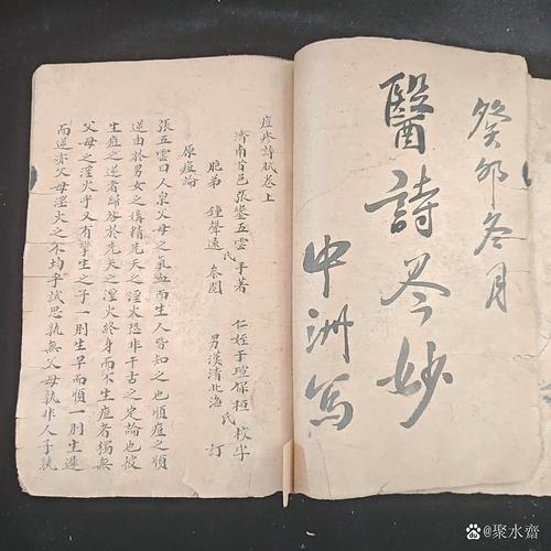锦医全文免费