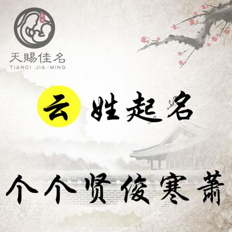 带云字的女孩名字截图