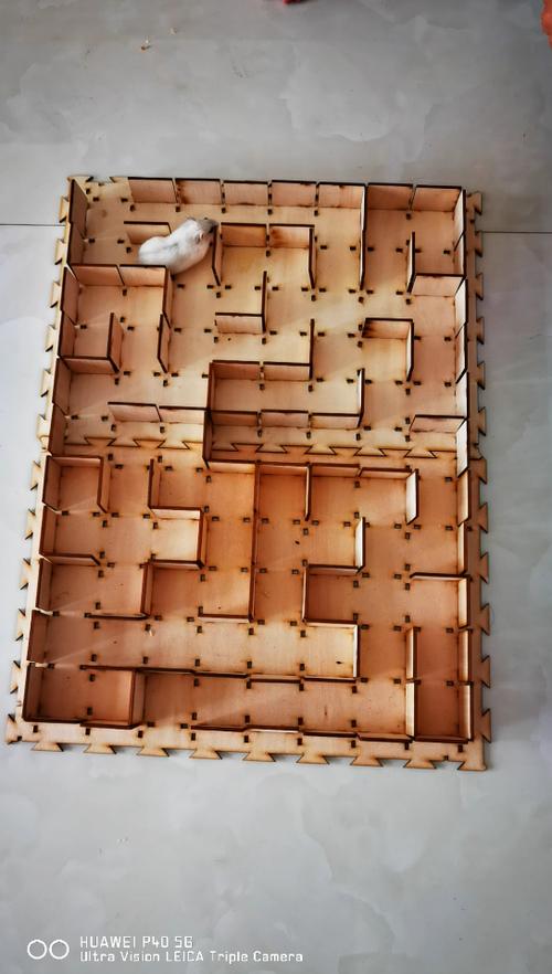 仓鼠迷宫手工制作游戏截图