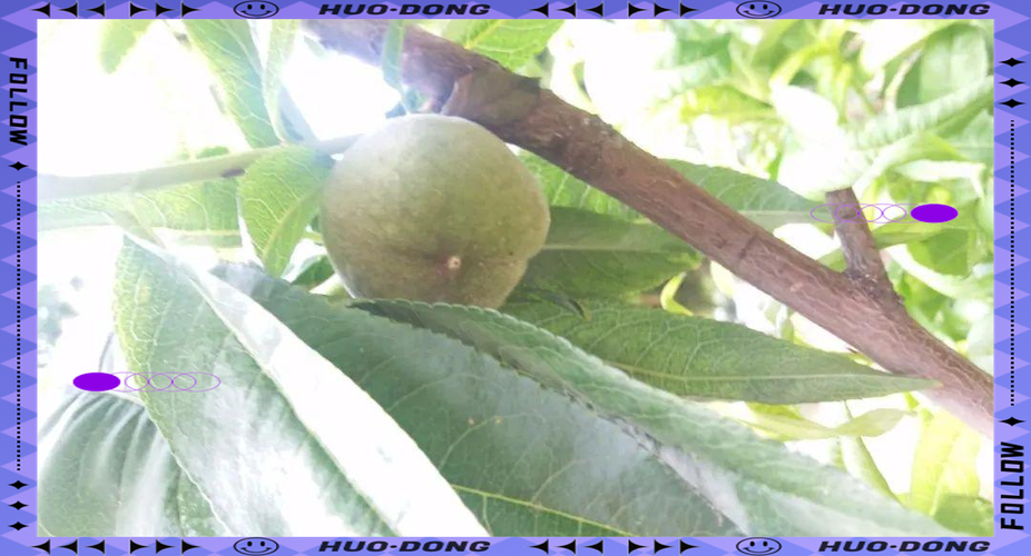 跳一跳摘桃子什么原则
