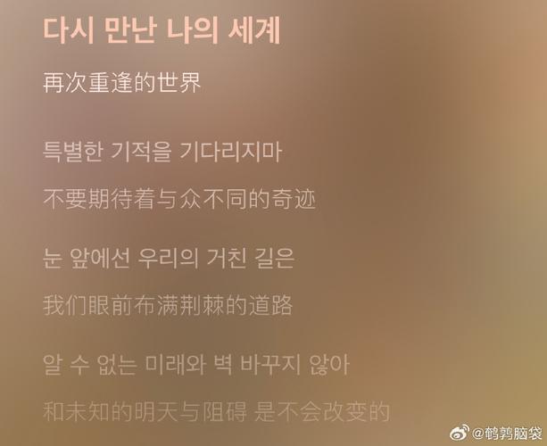 孙露歌曲再度重逢的歌词