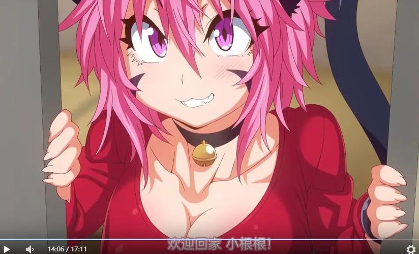 《兽娘通信～虎鲸娘玛雅》第二季在