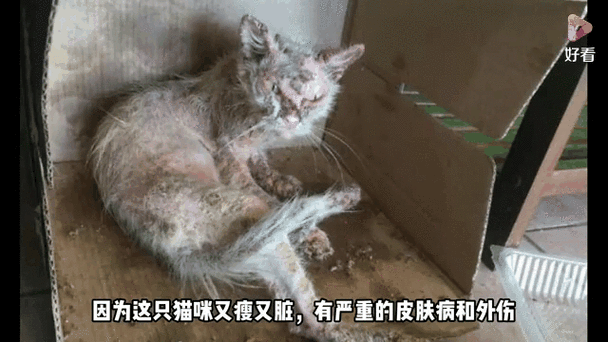 壁纸脏了最怕三个东西
