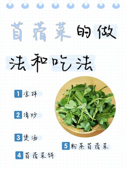 苜蓿菜的功效和吃法