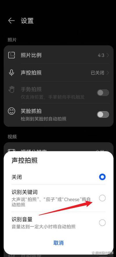 苹果手机声控拍照指令
