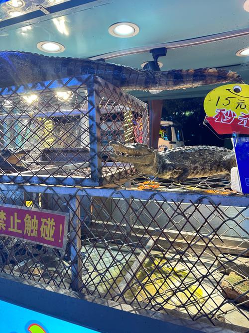鳄鱼怎么卖