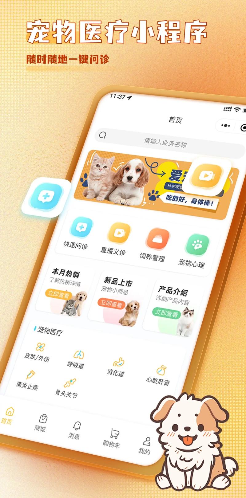 猫的网口灯不亮的原因