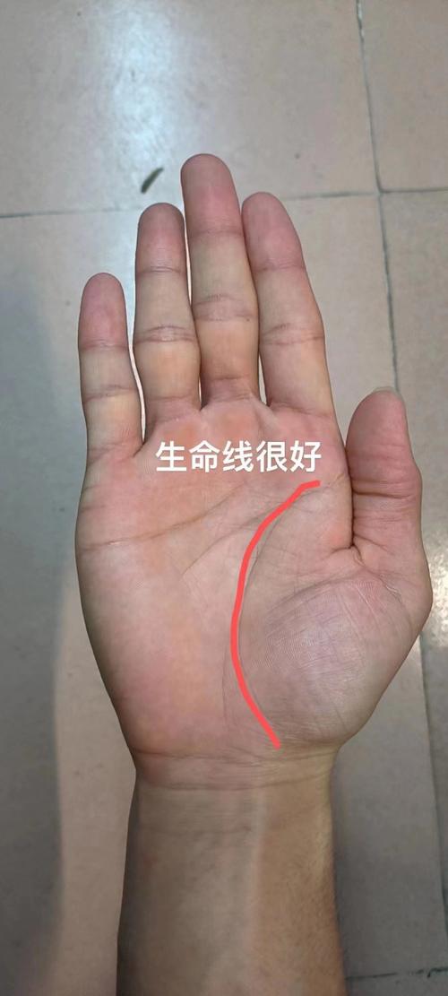 CCTV12《生命线》