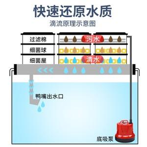 水池过滤器循环系统