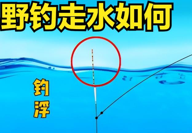 钓浮走水最简单三个步骤游戏截图