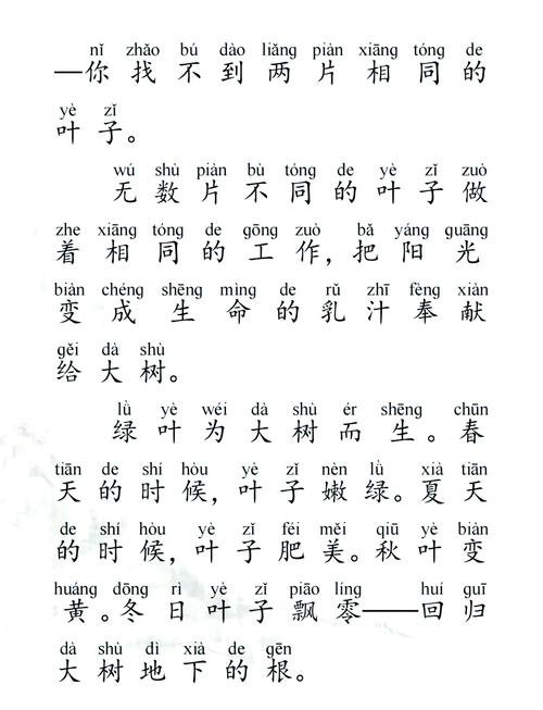 韵叶阅读软件缩略图