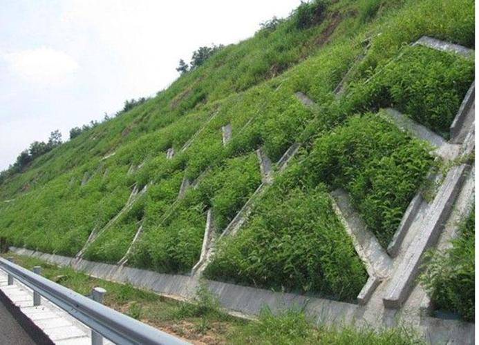喷浆护坡多少钱一平方