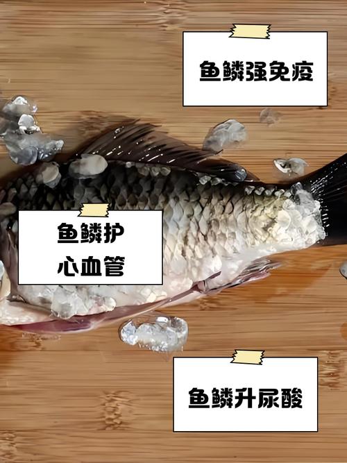 鱼鳞是癌细胞最喜欢吃的吗