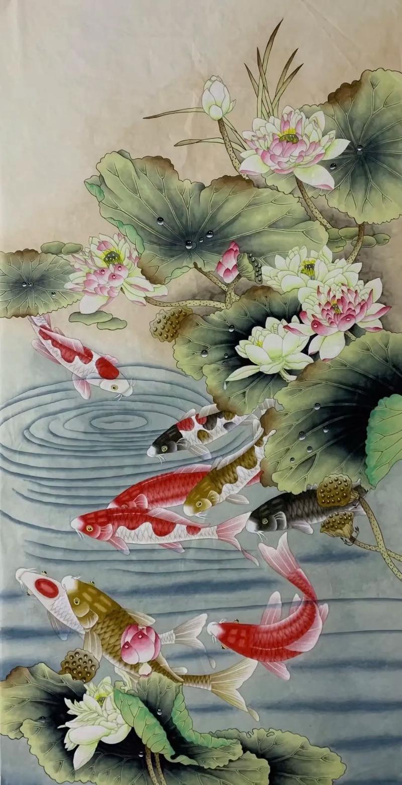 荷花鱼的生活寓意