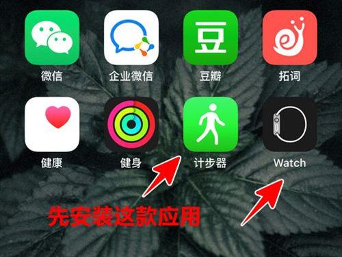 苹果手表如何连接微信步数