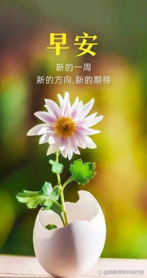 早安元气满满的文案