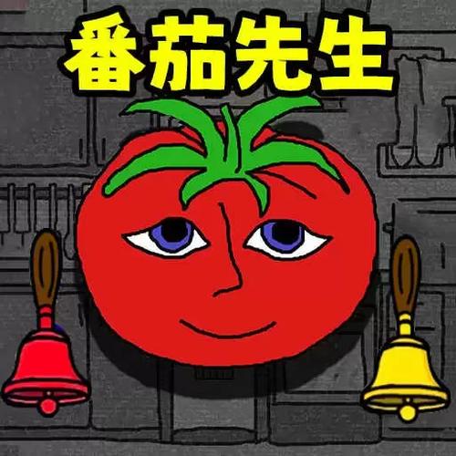 番茄先生手机版