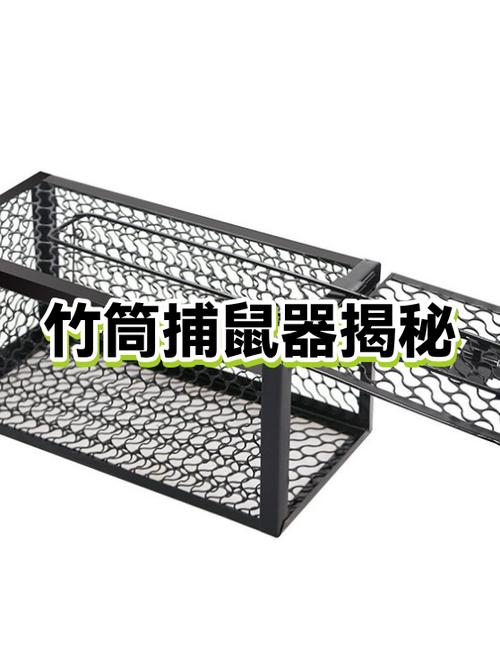老鼠神器捕鼠