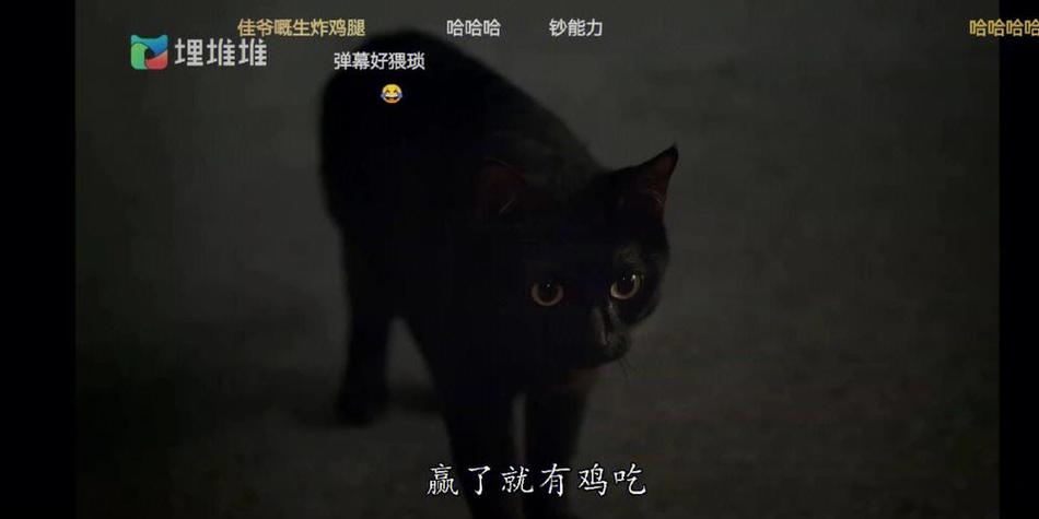 今宵大厦靓宝真实身份